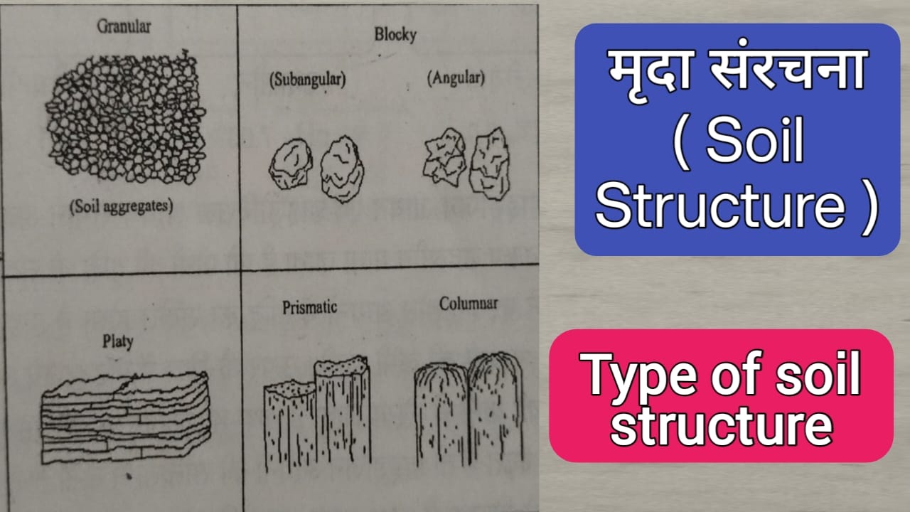 Read more about the article composition of soil in hindi मिट्टी की संरचना Soil Structure in hindi