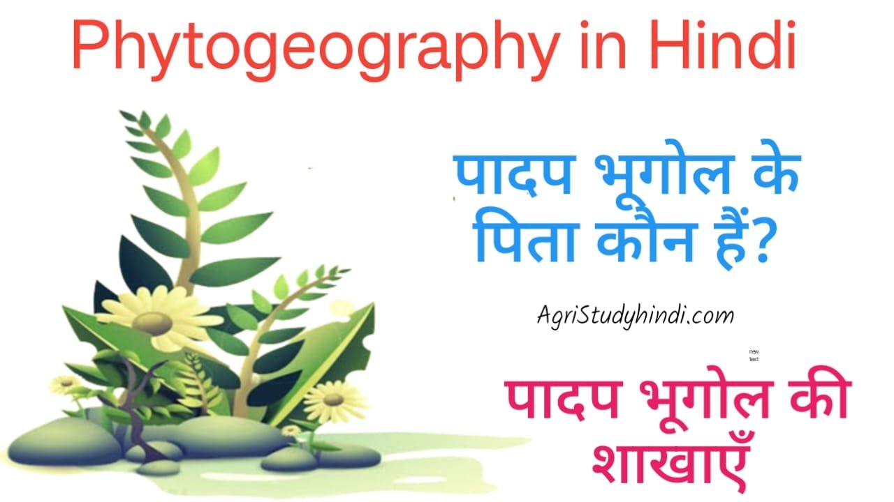 Read more about the article Phytogeography in Hindi पादप भूगोल के पिता कौन हैं? भारत में भूगोल का जनक कौन है?