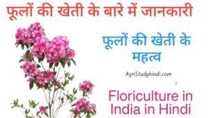 Read more about the article Floriculture in Hindi (फूलों की खेती की जानकारी ) फ्लोरिकल्चर क्या है? | What is Floriculture in Hindi