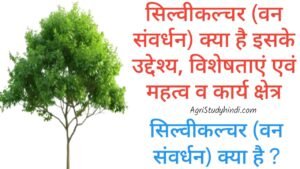 Read more about the article Objectives of silviculture in Hindi (वन संवर्धन के उद्देश्य)