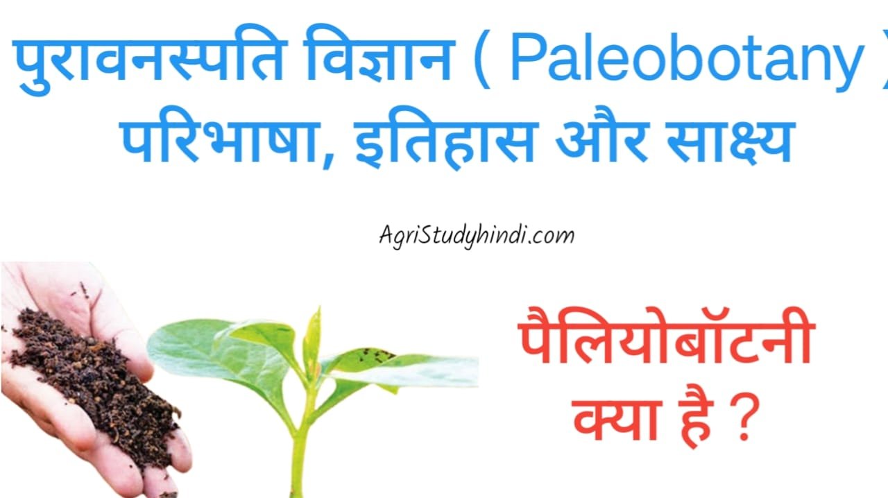 Read more about the article Paleobotany in Hindi (पुरावनस्पत्ति विज्ञान) पलोयोबोटनी क्या है? पुरावनस्पति विज्ञान क्या है?