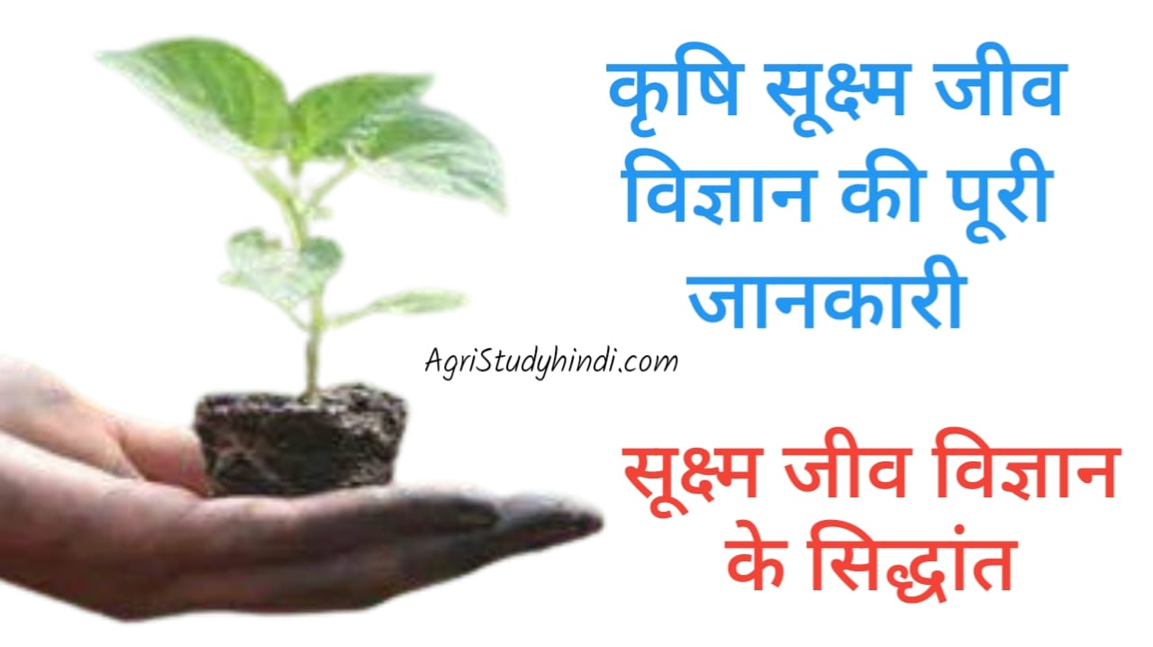 Read more about the article agricultural microbiology  ( कृषि सूक्ष्म जीव विज्ञान )