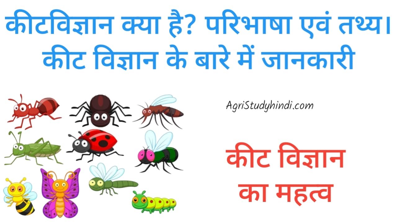 Read more about the article Scope of Entomology in Hindi ( कीट विज्ञान का दायरा ) कीट विज्ञान क्या होता है?