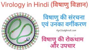Read more about the article Virology in Hindi (विषाणु विज्ञान) जीव विज्ञान में वायरोलॉजी क्या है? वायरोलॉजी का अर्थ क्या है?