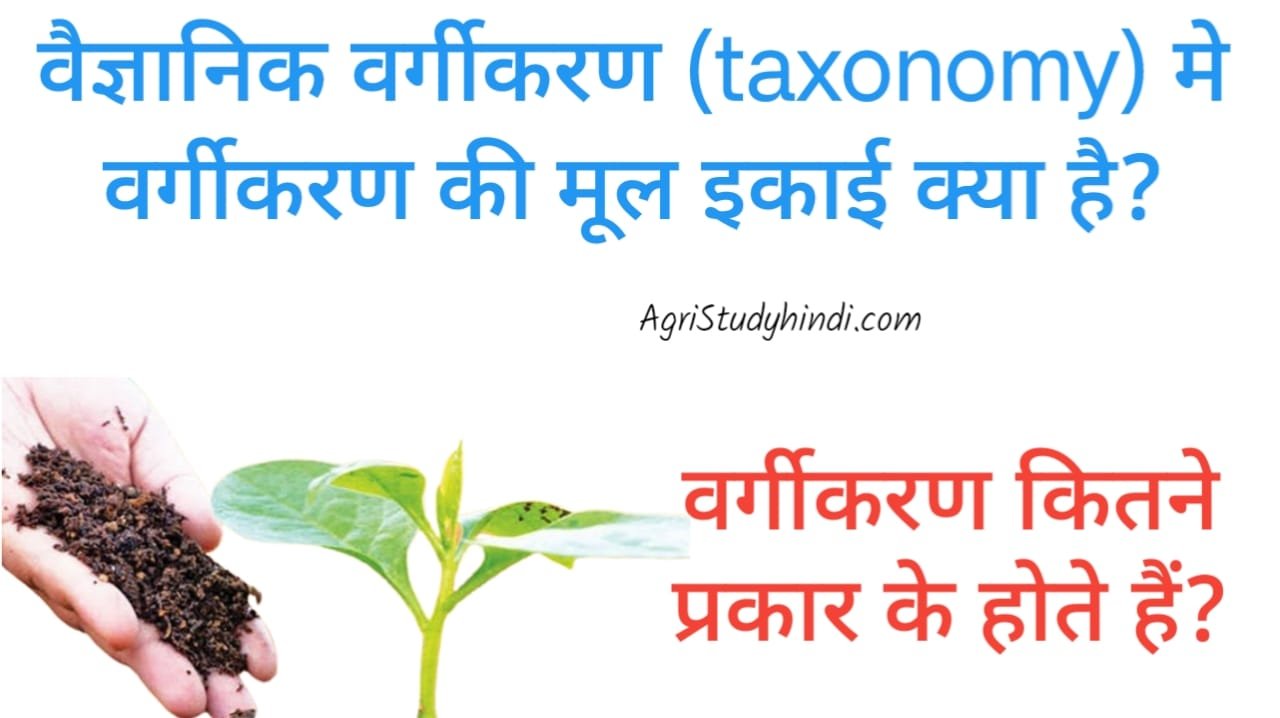 Read more about the article Types of Taxonomy in Hindi वर्गीकरण कितने प्रकार के होते हैं?
