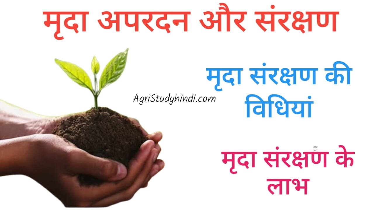 Read more about the article Soil Conversation in Hindi ( मृदा संरक्षण ) मिट्टी का संरक्षण कैसे किया जाता है? मृदा संरक्षण के 4 तरीके क्या हैं?